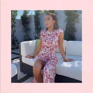 Price is Firm Reformation Gavin Dress in Cartoon